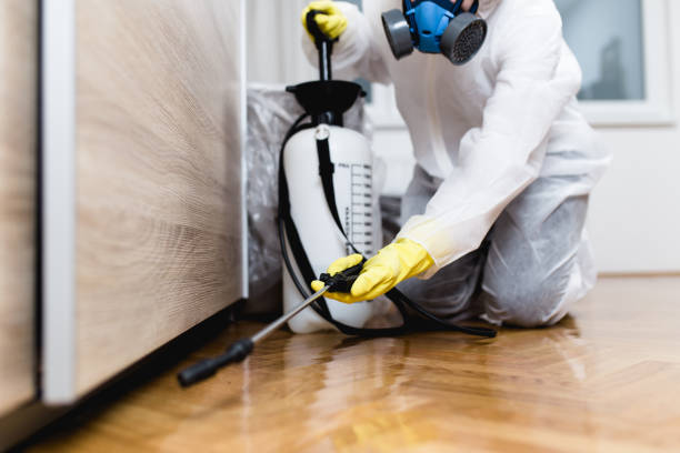 Best Best Pest Control Companies  in Sesser, IL