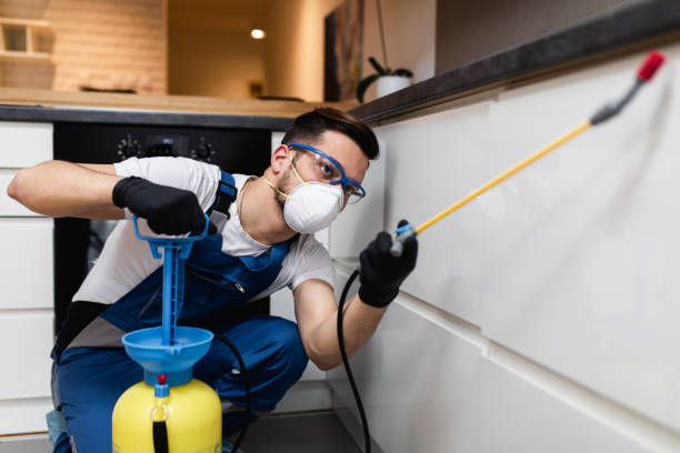 Best Ant Control Services  in Sesser, IL