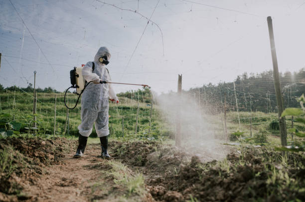 Best Ant Control Services  in Sesser, IL