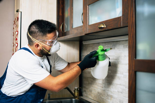 Best Wildlife Control Services  in Sesser, IL