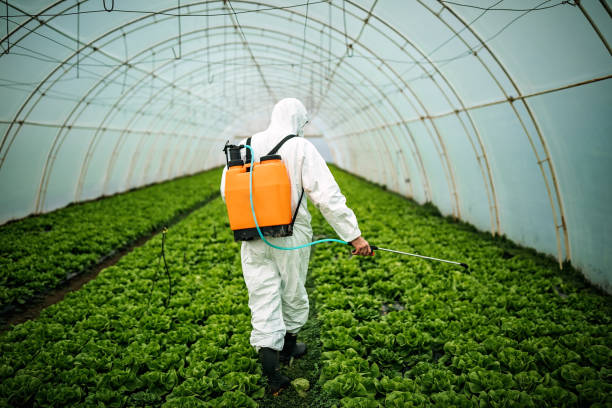 Best Wildlife Control Services  in Sesser, IL
