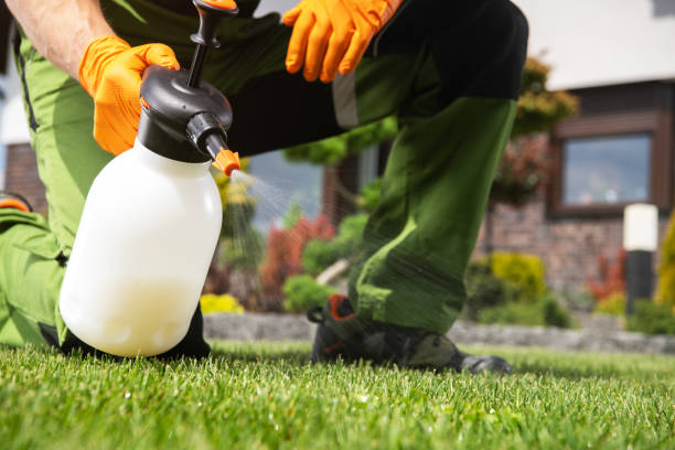 Best Exterminator Services  in Sesser, IL