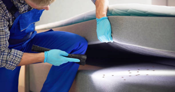 Best Pest Control for Homes  in Sesser, IL