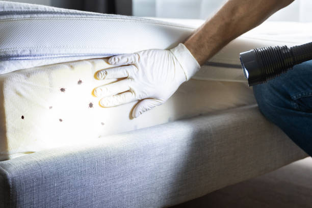 Best Best Pest Control Companies  in Sesser, IL