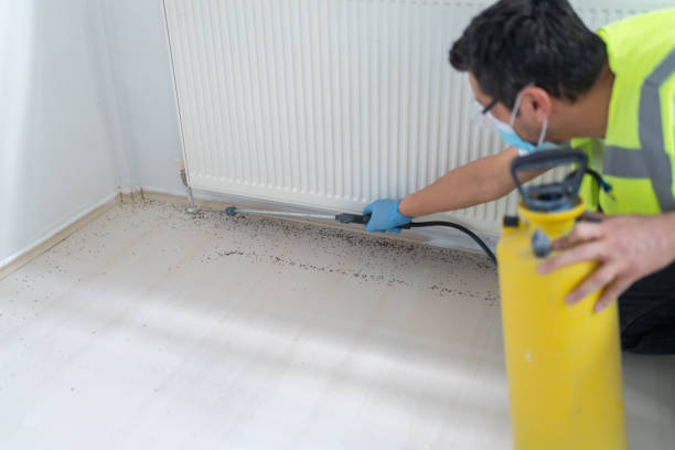 Pest Control for Restaurants in Sesser, IL