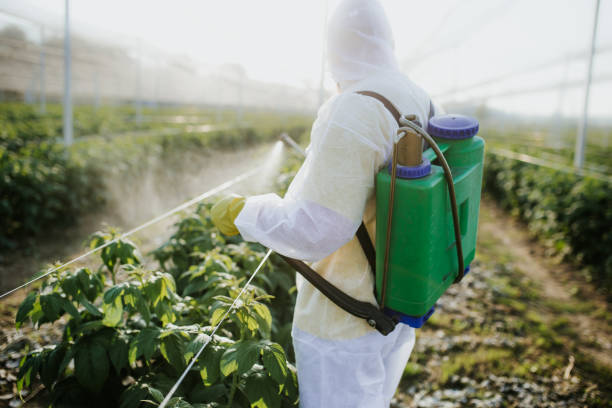 Best Pest Control Treatment  in Sesser, IL
